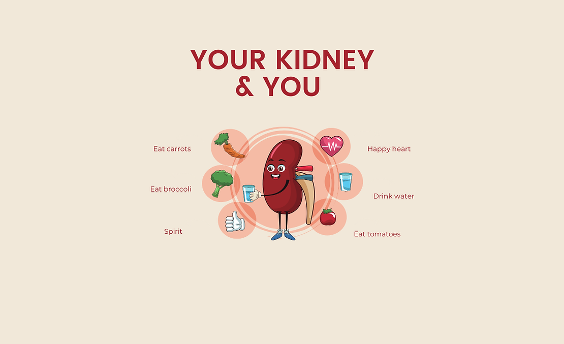 “Protect Your Kidneys: Essential Tips to Avoid Kidney Injuries and Stay Healthy!”