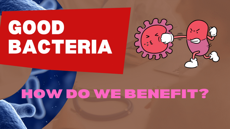 HOW BACTERIA BENEFIT US: The Tiny Heroes on Our Skins